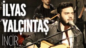 incir e1509263525839