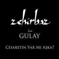 Zehirbaz – Cesaretin Var mı Aska