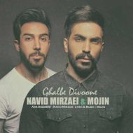 Navid Mirzaie – Ghalbe Divoone Ft Mojin