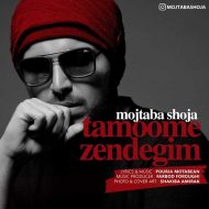 Mojtaba Shoja – Tamoome Zendegim