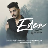 Ali Qorbani – Edea