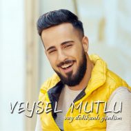Veysel Mutlu – Vay Delikanlı Gönlüm