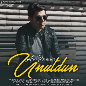 Ali Pormehr - Unutdun