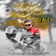 Afshin Azari – Sani Yar (Dj Alex Remix)‌
