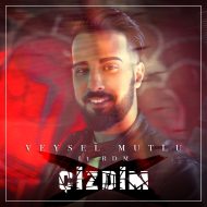 Veysel Mutlu, RDM – Cizdim