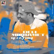Reza Shiri – Deli Mikhamet