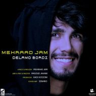 Mehraad Jam – Delamo Bordi