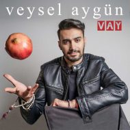 Veysel Aygun – Vay