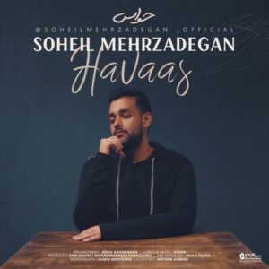 Soheil Mehrzadegan Havaas