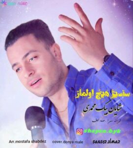 Shayan Begmohammadi Sansiz Hech Olmaz