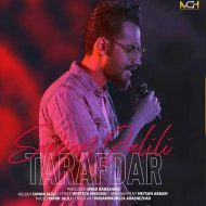 Saman Jalili – Tarafdar