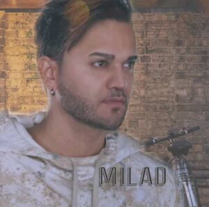 Milad, Dilek Erol - Gelme Ustume