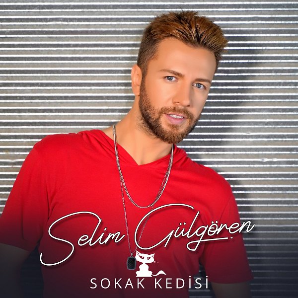 Selim Gülgören Sokak Kedisi