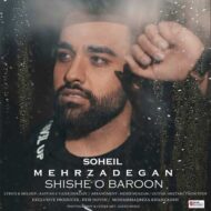 Soheil Mehrzadegan – Shisheo Baroon
