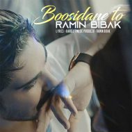 Ramin Bibak – Boosidane To