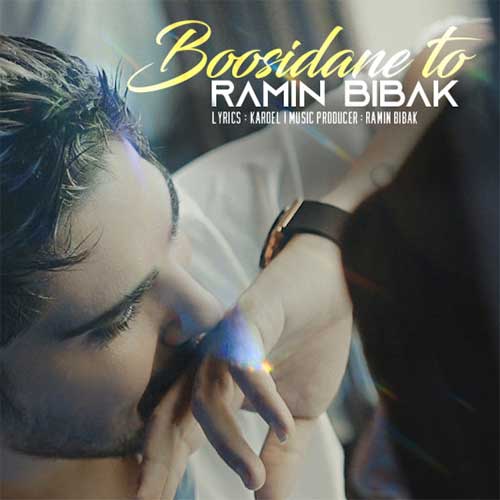 Ramin Bibak - Boosidane To