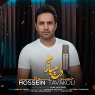 Hossein Tavakoli – Del Mibazam