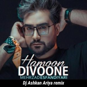 Mehrzad Esfandiyari - Hamoon Divoone (Dj Ashkan Ariya Remix)