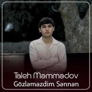 Taleh Memmedov – Gözləməzdim Sənnən