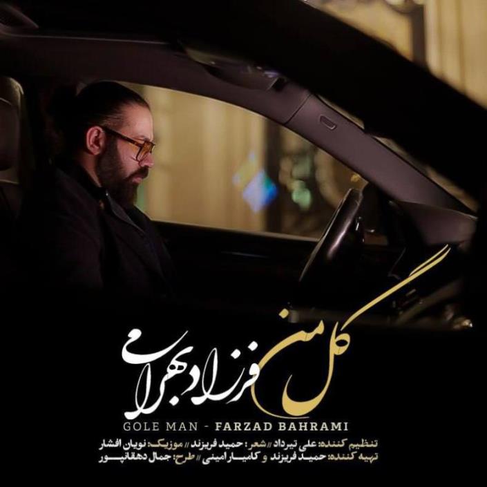 Farzad Bahrami - Gole Man