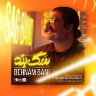 Behnam Bani – Sagband