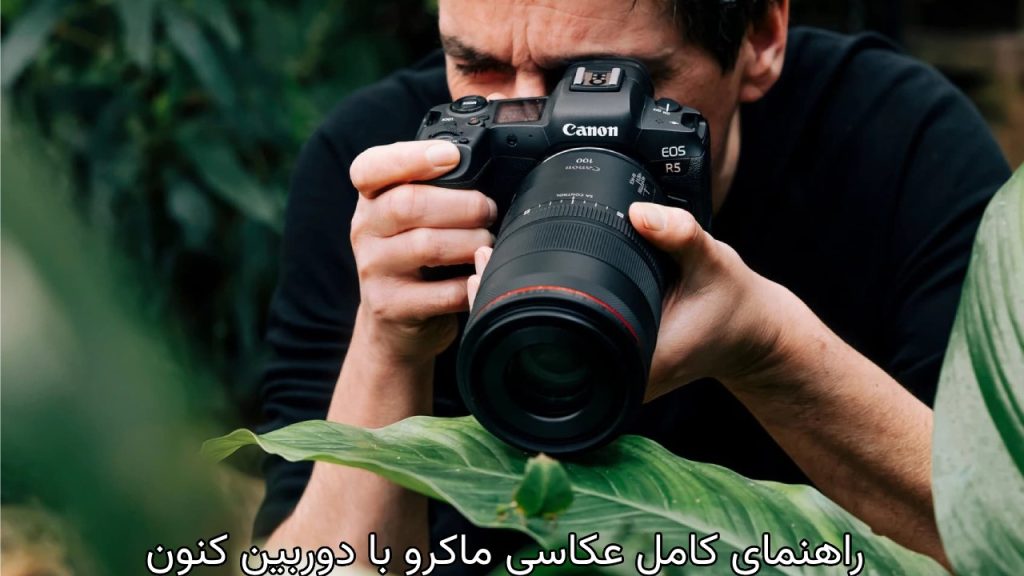 تجهیزات مورد نیاز برای عکاسی ماکرو 