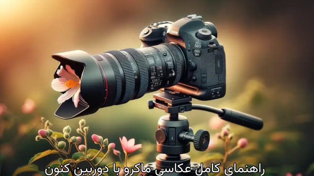 تکنیک_های اساسی عکاسی ماکرو 