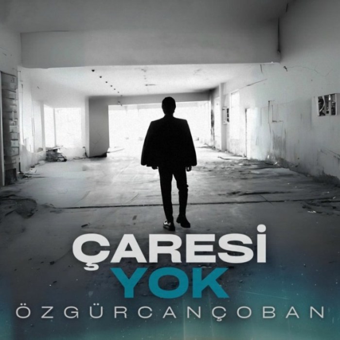 Özgür Can Çoban - Çaresi Yok