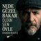Erol Sever – Nede Güzel Bakar Oldun Sen Öyle